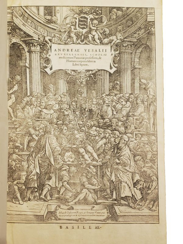 The First and Greatest Modern Anatomy