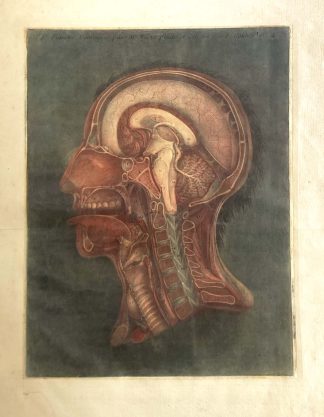 GAUTIER D'AGOTY, Jacques Fabien.