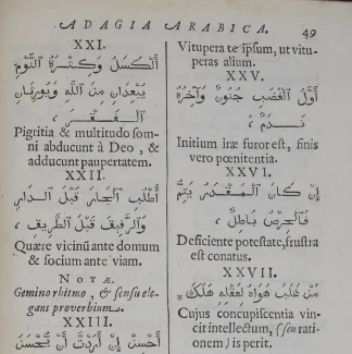 Language & Linguistics